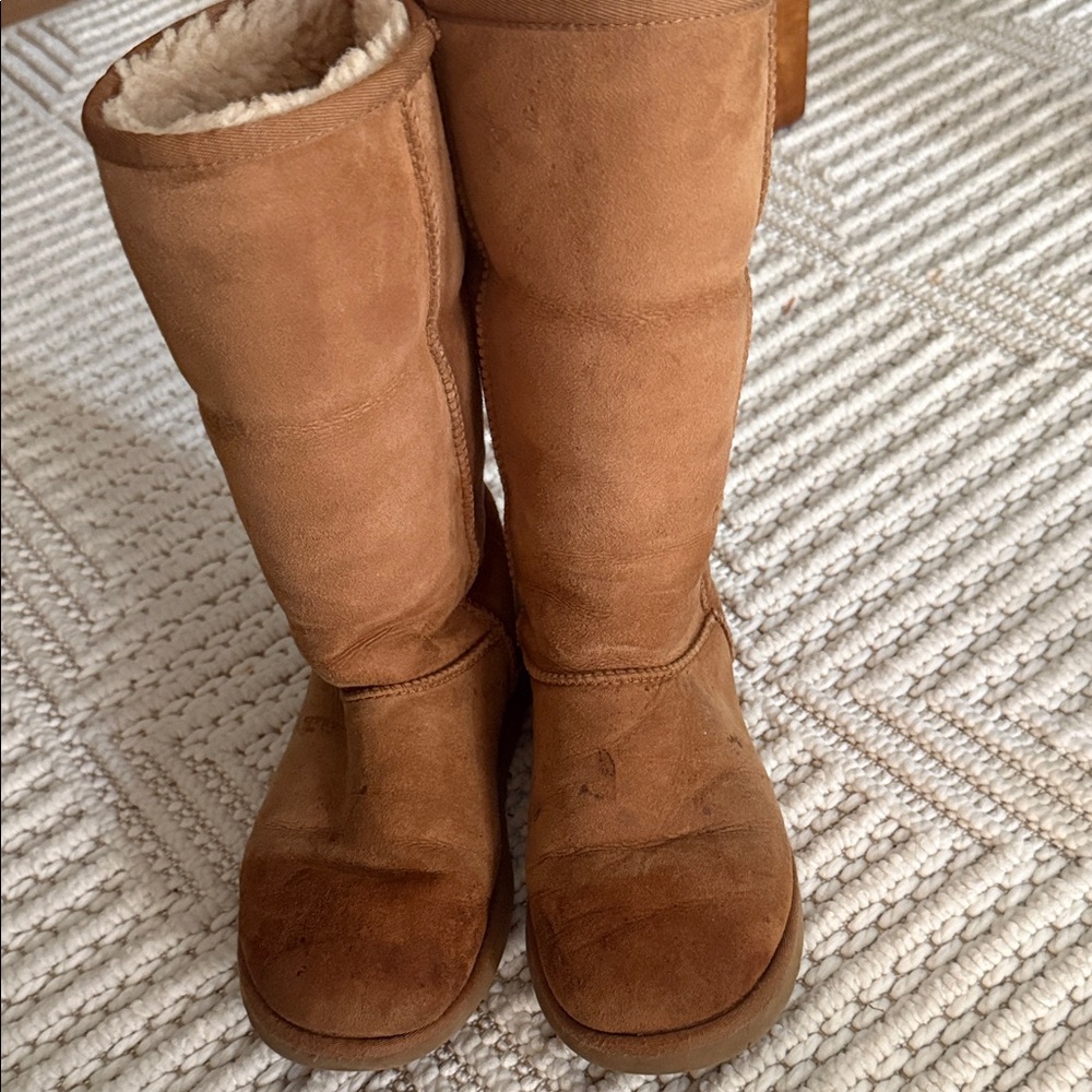 UGG Chestnut Suede Boots